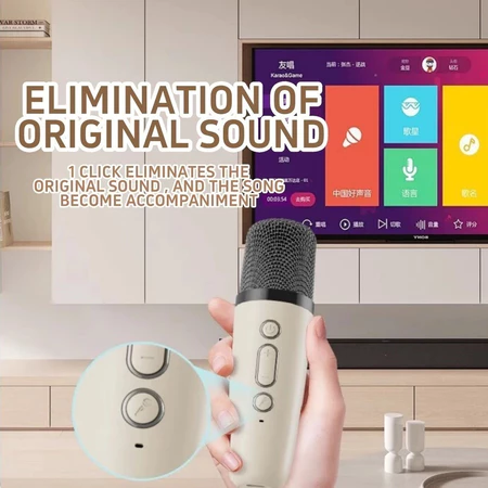 K12 Mini Karaoke Set with Speakers And 2 Mics Home KTV